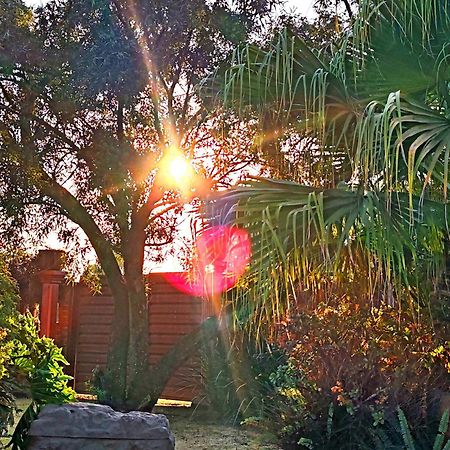 Sun And Stars Hotel Benoni Kültér fotó